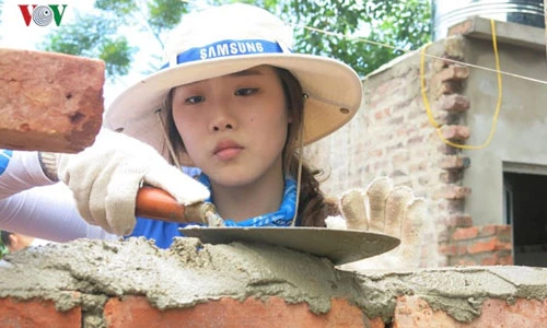 Chùm ảnh gái Hàn Quốc sang Việt Nam làm...thợ xây 