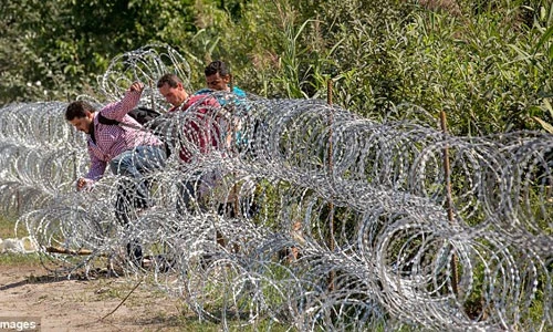 Rợn người cảnh dân di cư xé rào vào lãnh thổ Hungary
