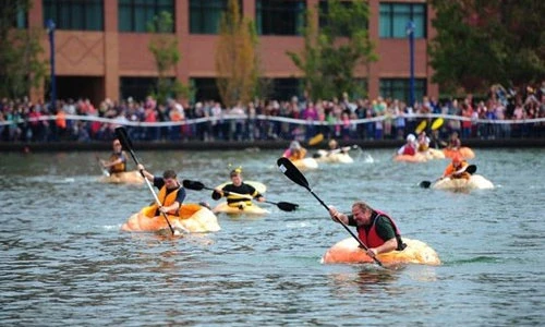 Hài hước giải đua bí ngô ngộ nghĩnh ở Mỹ