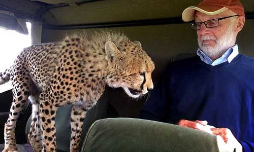 Loạt ảnh hài hước chụp những “kẻ phá bĩnh” bướng bỉnh