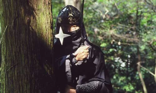 10 điều chưa biết về chiến binh Ninja