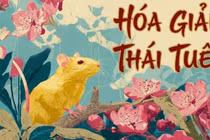 Chuẩn bị tâm thế vượt qua vận hạn năm 2026 Bính Ngọ