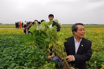 GS.TSKH Trần Đình Long, từ cánh đồng trung du tới công dân Thủ đô ưu tú