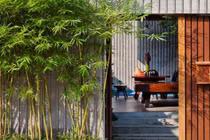 Tổ tiên cảnh báo tuyệt đối không trồng cây này trước cửa nhà