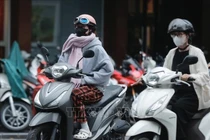 Từ ngày 1 - 9/1/2026, vùng núi cao Bắc Bộ có thể xảy ra băng giá