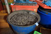 Vụ ốc ngâm 'thủy tinh lỏng', nhà khoa học cảnh báo lỗ hổng mua bán hóa chất