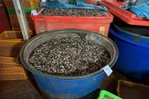 Vụ ốc ngâm 'thủy tinh lỏng', nhà khoa học cảnh báo lỗ hổng mua bán hóa chất