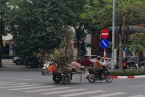 Hà Nội cấm xe máy xăng, cần tạo động lực cho các hãng phát triển xe điện