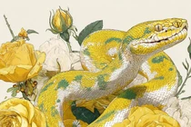 4 con giáp bớt so sánh dễ sống giàu có, hạnh phúc hơn