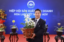 Giáo sư Trần Duy Quý và giấc mơ nâng tầm hoa lan Việt