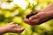 7 câu hỏi thay đổi cuộc đời, khiến bạn lập tức thức tỉnh