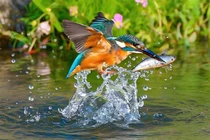 Người sinh vào 4 ngày Âm lịch này, số mệnh cát tường, tháng 11 tiền đầy túi