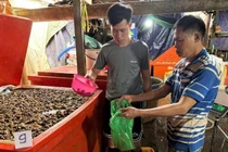 Thủy tinh lỏng ngâm ốc độc hại cỡ nào?