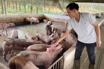 Người nông dân Tày làm kinh tế giỏi với thu nhập hàng tỷ đồng mỗi năm