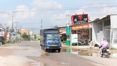 Đấu thầu tại Đông Hải: Vì sao đối thủ duy nhất ở gói 11 tỷ bị loại?