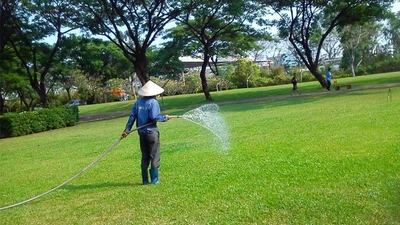 5 nhà thầu cạnh tranh gói chăm sóc cây xanh tại Nhơn Trạch