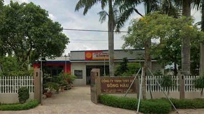 Công ty TNHH tư vấn đầu tư xây dựng Sông Hậu. Nguồn IT