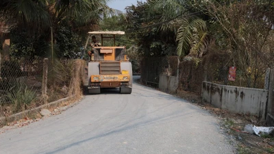 Trúng 36/39 gói thầu tại Trảng Bàng, Phương Trinh có năng lực thế nào?