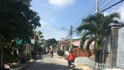 Đấu thầu tại phường Tân Khánh: Giảm giá 10% có giúp nhà thầu 'vượt ải'?