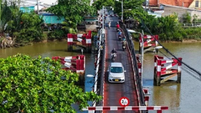 Công ty Nguyên Phú trúng gói thầu tại Ban Giao thông TP.HCM: Năng lực và những con số đáng chú ý