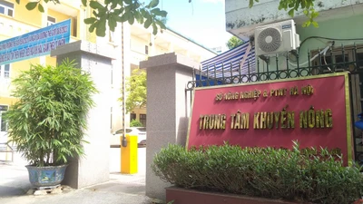 Vì sao liên danh KN-HN bị Trung tâm Khuyến nông Hà Nội cấm đấu thầu 4 năm?