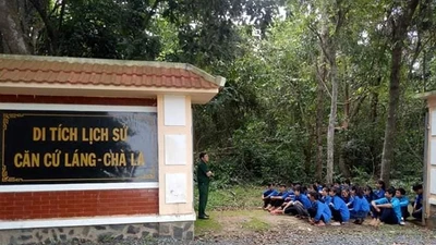 Công ty Trúc Quân và "duyên" chỉ định thầu tại Ban QLDA ĐTXD Khu vực 5