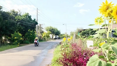 Đồng Nai: Nhà thầu Hùng Vương một mình trúng gói thầu 54,69 tỷ đồng