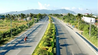 Gói cải tạo mảng xanh đường Võ Nguyên Giáp có về tay UPV
