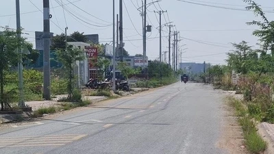 Năng lực cạnh tranh của San lấp Bạc Liêu qua lăng kính đấu thầu 2025
