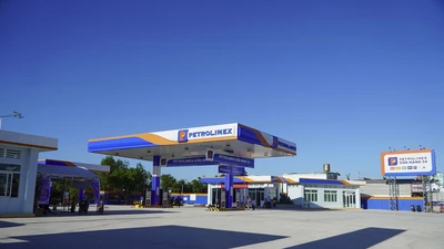 Petrolimex Vĩnh Long và những gói thầu "kém vui": Tỷ lệ tiết kiệm thấp