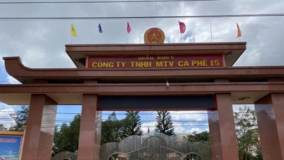 Lại là Trường An: Trúng thầu tại Cà phê 15, đối thủ 'rụng' từ vòng đầu