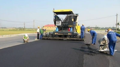 Phương Trinh trúng 36/39 gói thầu: Do năng lực vượt trội ?