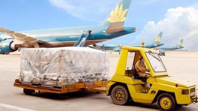 Uẩn khúc tại gói thầu 47 tỷ của CTCP Dịch vụ Hàng hóa Nội Bài