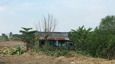 Cách nào giảm thuế sử dụng đất cho người dân?