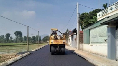 Công ty Nam Đạt và "bí quyết" trúng thầu gần 100%