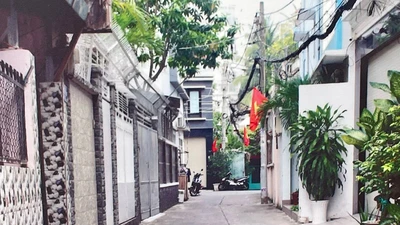 Phân tích quan hệ giữa nhà thầu, chủ đầu tư và tư vấn tại các dự án ở TP Thủ Đức 