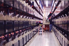 Pin khổng lồ ở Alaska cứu cả thành phố giữa mùa đông