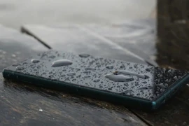 Một phút sai lầm, mất cả chục triệu đồng