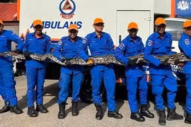 Cả làng sững sờ phát hiện 'quái thú' rình rập phía sau nhà