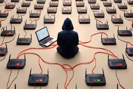 Router TP-Link cũ biến thành cửa ngõ cho hacker tấn công 