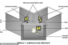 Ngôn ngữ bí mật giúp loài người trò chuyện với người ngoài hành tinh