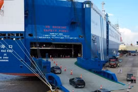 Quái vật năng lượng mặt trời của Trung Quốc đổ bộ Châu Âu 