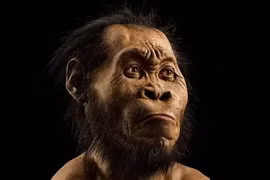 Phát hiện chấn động viết lại lịch sử chôn cất loài người cổ đại