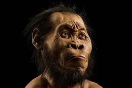 Phát hiện chấn động viết lại lịch sử chôn cất loài người cổ đại