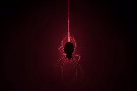 "Phù phép" nhện nhả tơ phát sáng nhờ công nghệ chỉnh sửa gen 