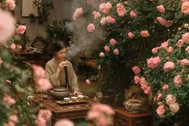 Ba cây cảnh cát tường nhà giàu trồng để giữ bình an