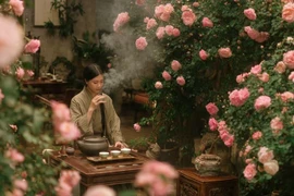 Ba cây cảnh cát tường nhà giàu trồng để giữ bình an