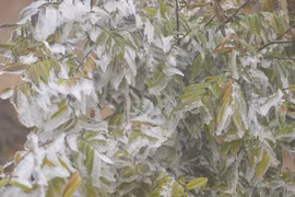 Dự báo thời tiết 21/11, miền Bắc có thể xuất hiện sương muối