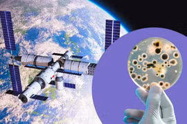 Giải mã thứ lạ lùng bất ngờ xuất hiện trong trạm không gian Trung Quốc