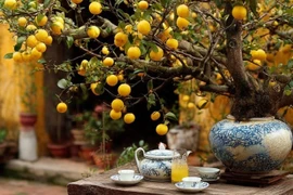 Lỡ trồng 4 cây cảnh này sai chỗ, gia chủ khó giữ phú quý